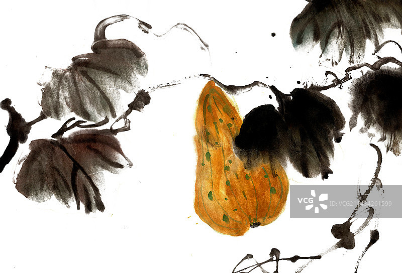 秋季的葫芦图片素材