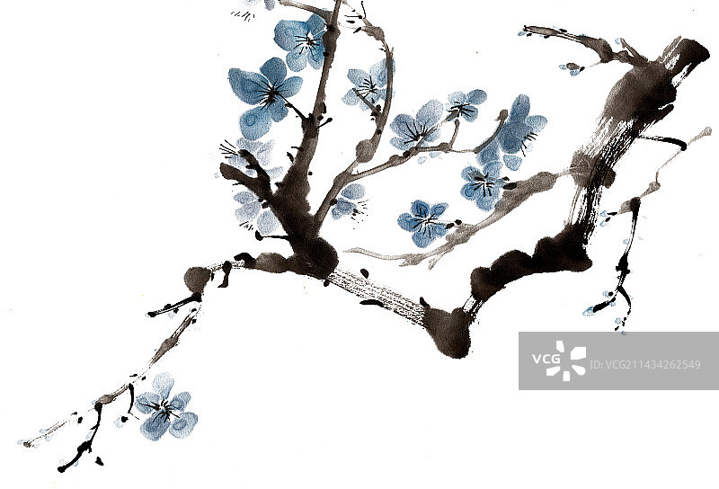 一枝寒梅图片素材