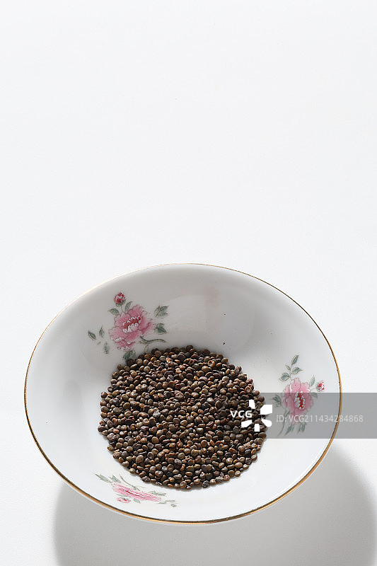 400种中药材沙苑子图片素材