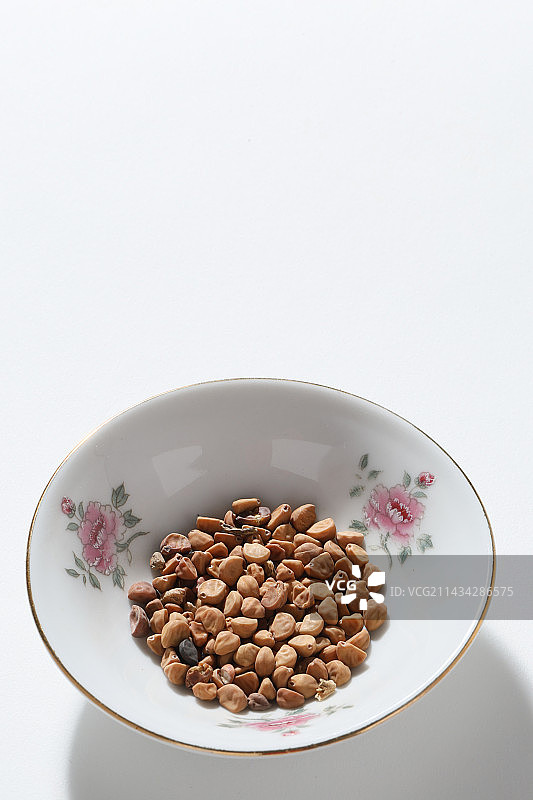 400种中草药药材白丑图片素材