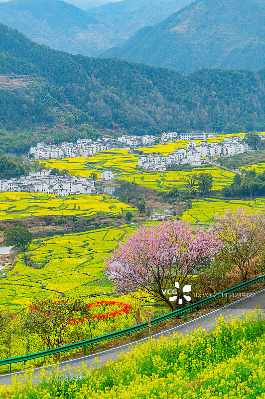 雨前婺源图片素材