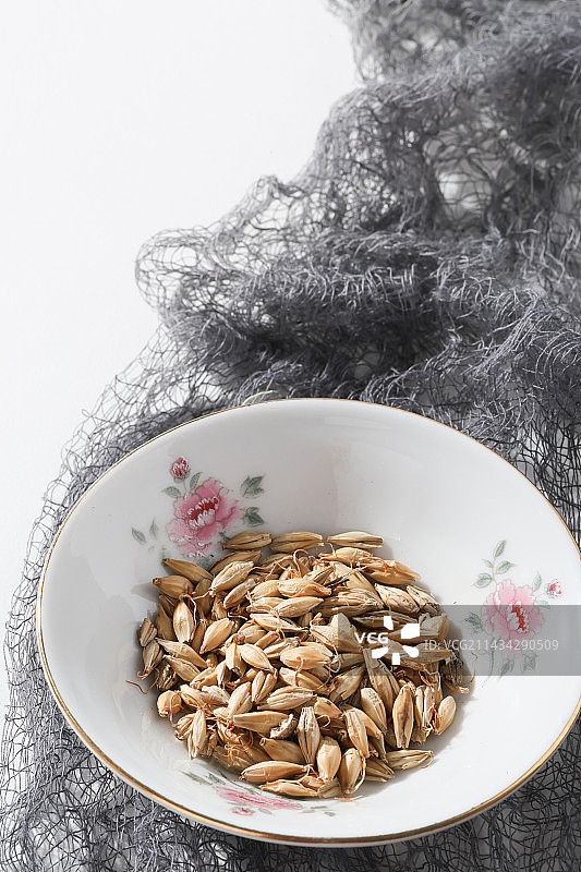 400种中药材生麦芽图片素材