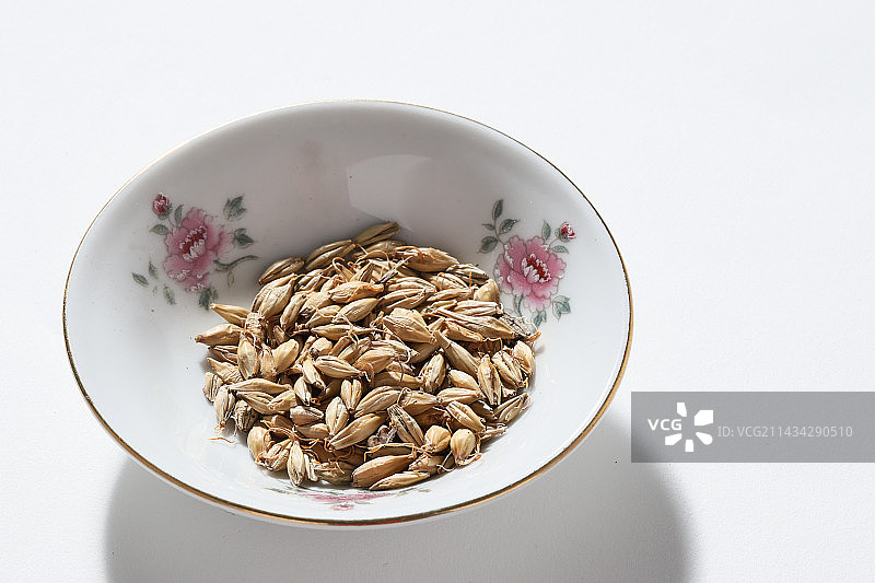 400种中药材生麦芽图片素材