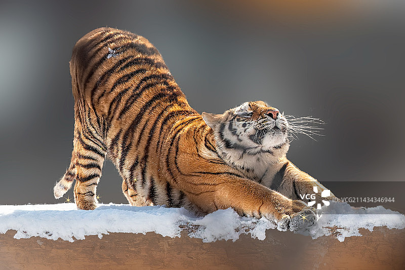 伸个懒腰图片素材