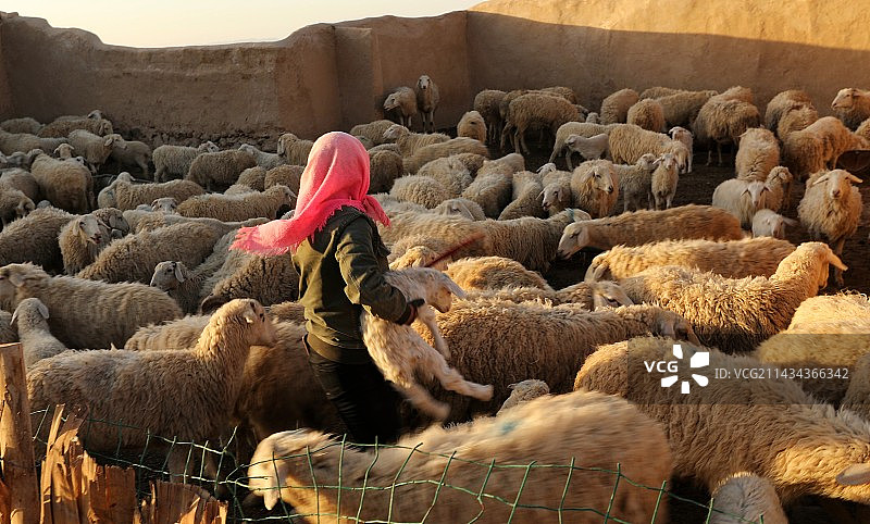 牧羊人图片素材
