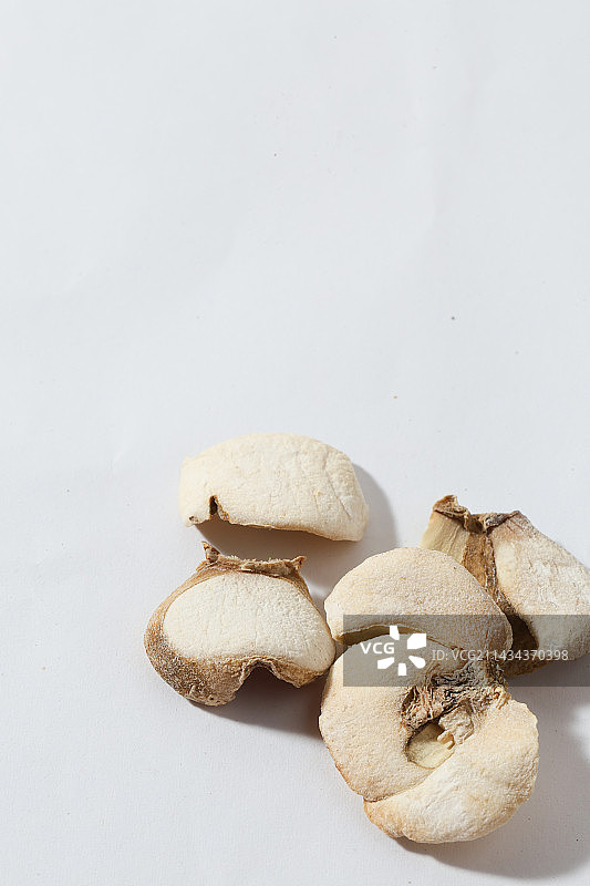 400种中药材浙贝母特写图片素材