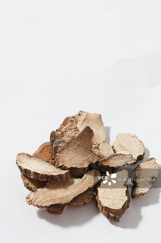 400种中药材石菖蒲图片素材