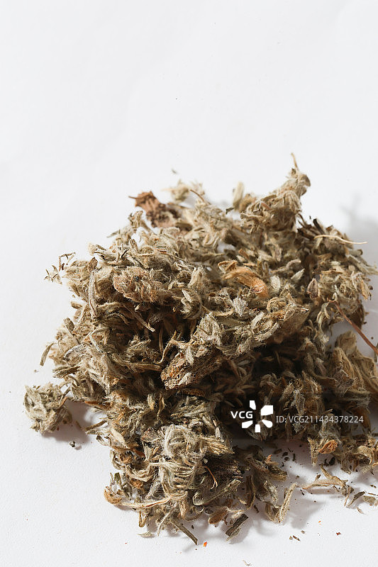 400种中药材茵陈图片素材