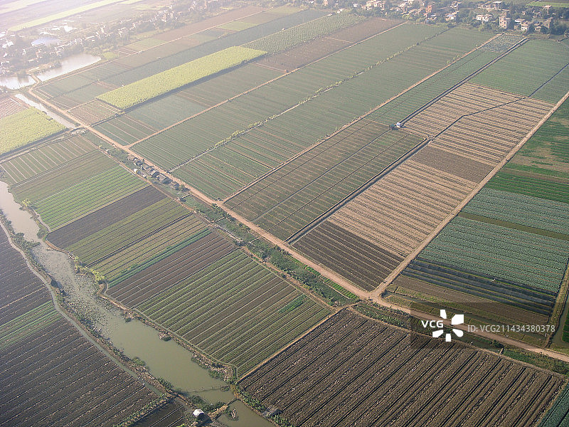 航拍，番禺区，南沙区，珠江三角洲，水乡，平原，田园与乡村风光图片素材