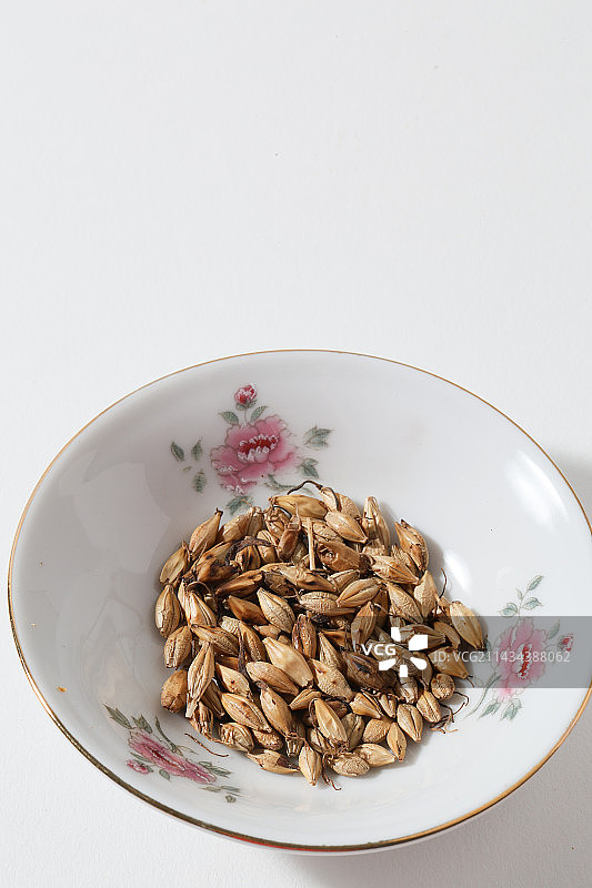 400种中医药药材麦芽图片素材