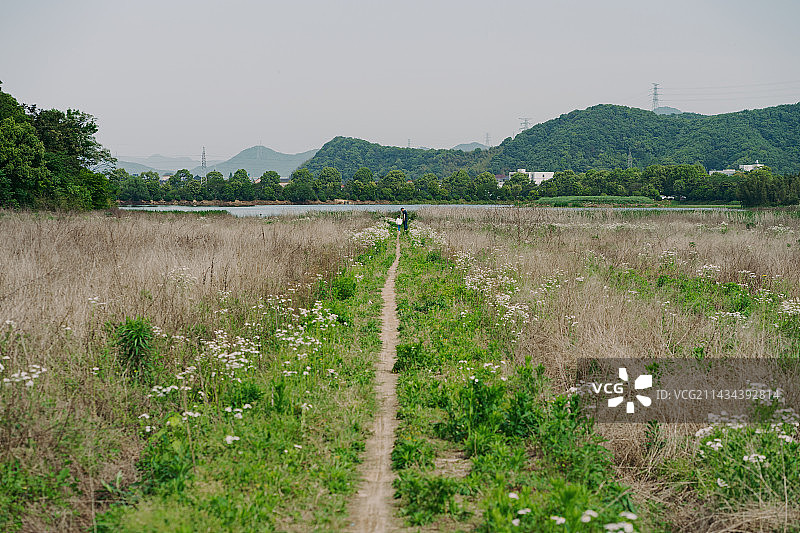 仙女湖湖边的湿地图片素材