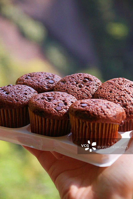 巧克力蛋糕特写图片素材