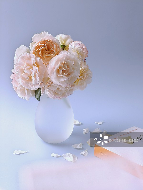 岁月静好图片素材