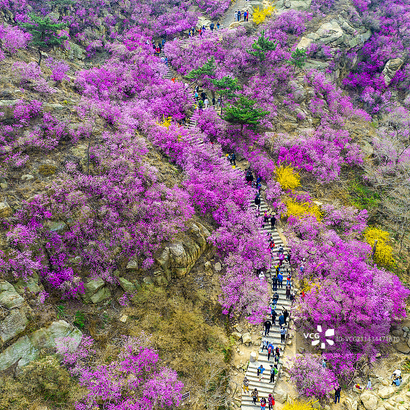 青岛大珠山图片素材