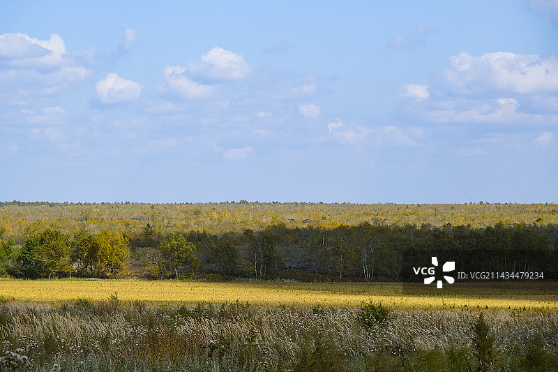 黑龙江省五大连池市黑龙山/老黑山景区火山秋天美景图片素材