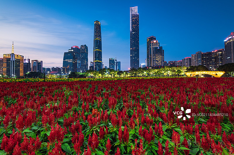 广州海心沙亚运公园花海与珠江新城高楼大厦夜景图片素材