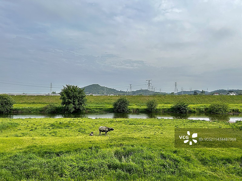 最美中苕溪图片素材