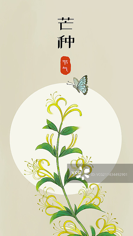 节气花卉之金银花中国风插画图片素材