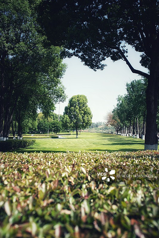 重庆 中央公园图片素材