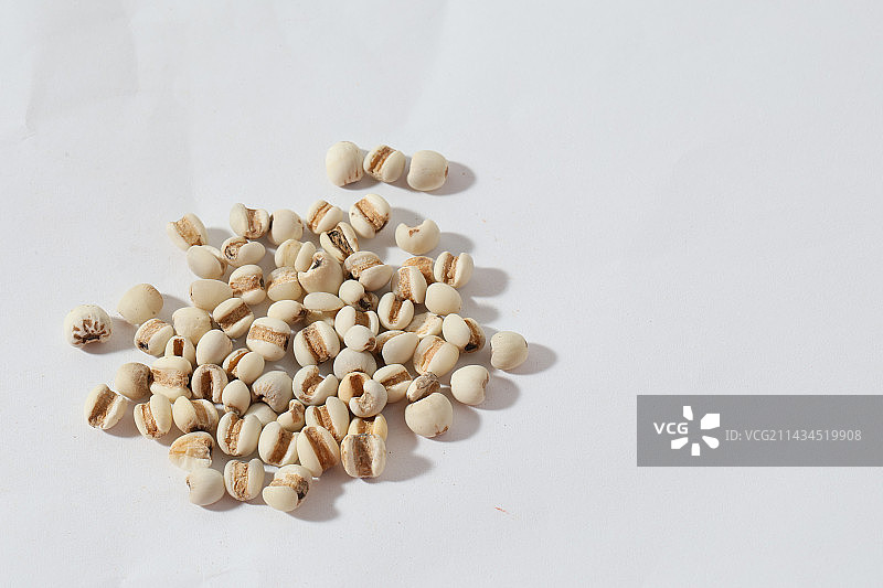 400种中药材薏苡仁图片素材