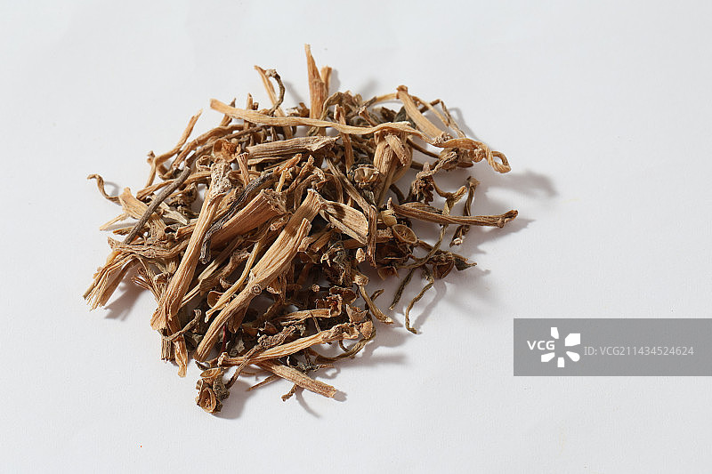 400种中药材马齿苋图片素材