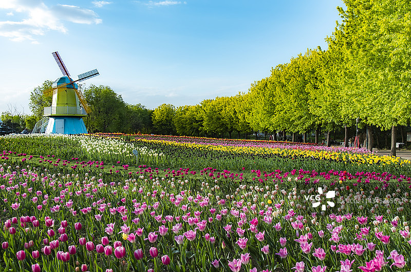 北京国际鲜花港图片素材
