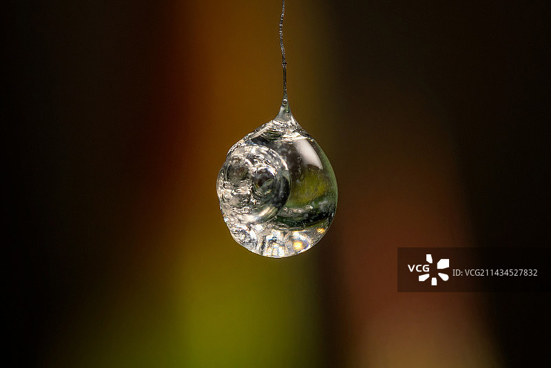 珠宝级天然雨滴图片素材
