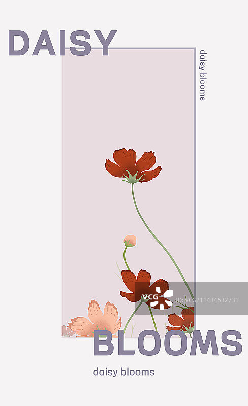 雏菊花插画植物海报日签设计模板图片素材
