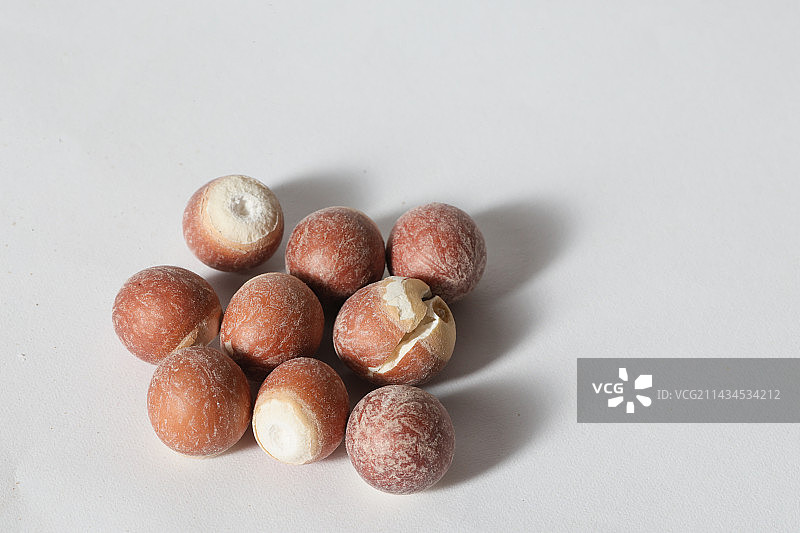 400种中药材芡实图片素材