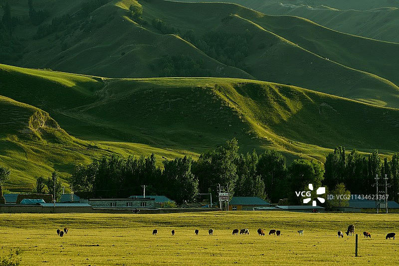 自驾新疆图片素材