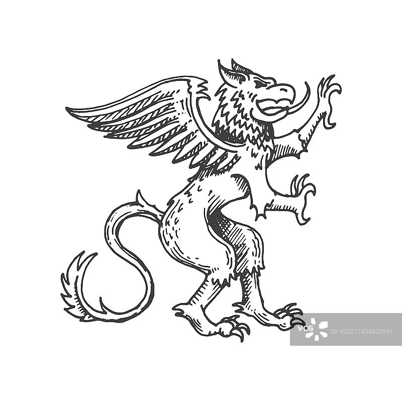 狮鹫中世纪纹章动物草图图片素材
