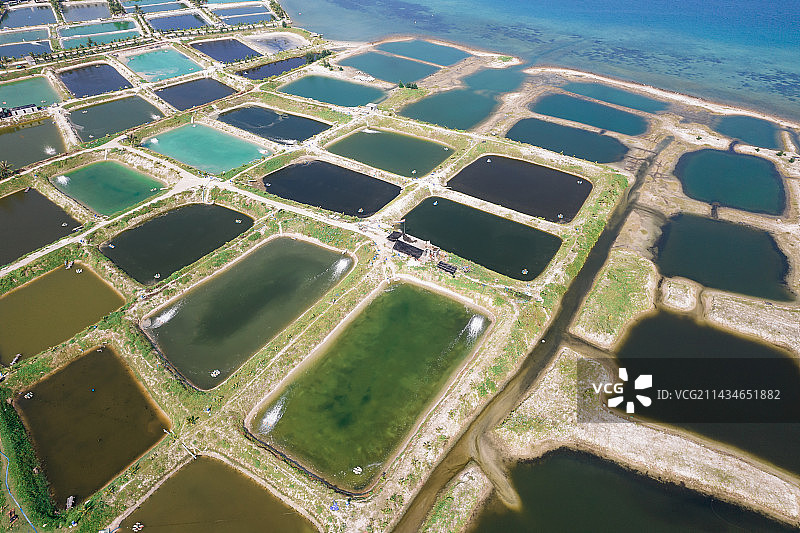 海南陵水南繁水产养殖基地基塘农业航拍图片素材