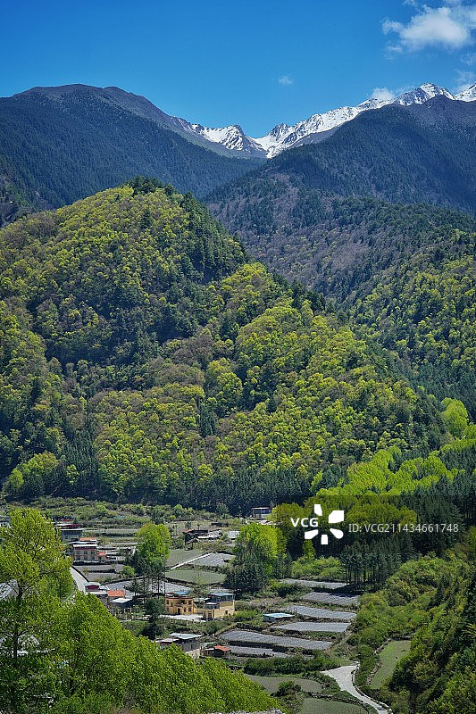 油画般的村庄图片素材