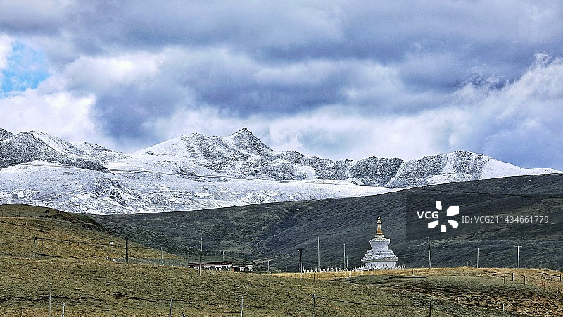 雪山下的牧场图片素材