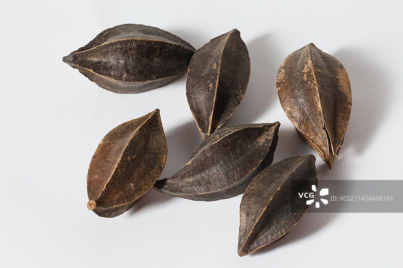 400种中草药药材使君子图片素材