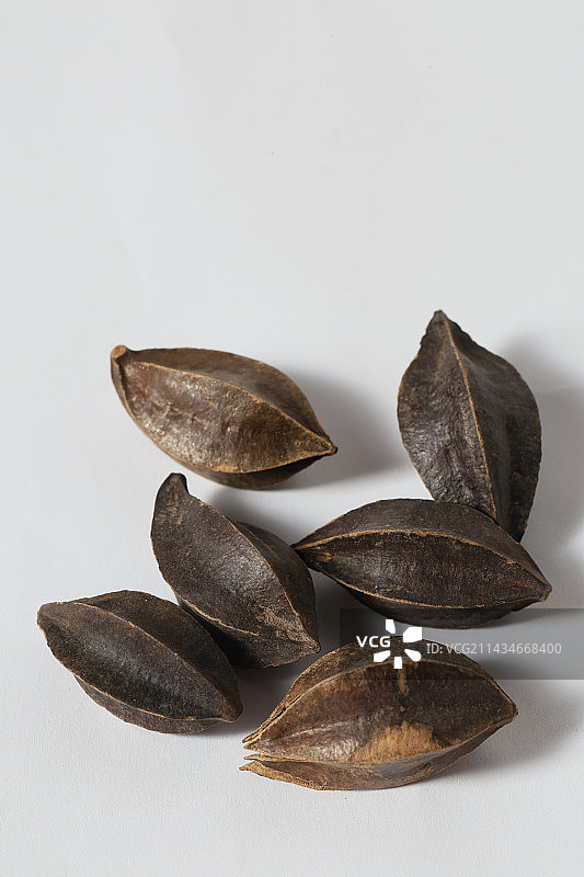 400种中草药药材使君子图片素材