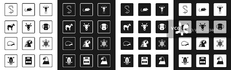 长颈鹿头、奶牛、马、蠕虫、狗、老鼠图片素材