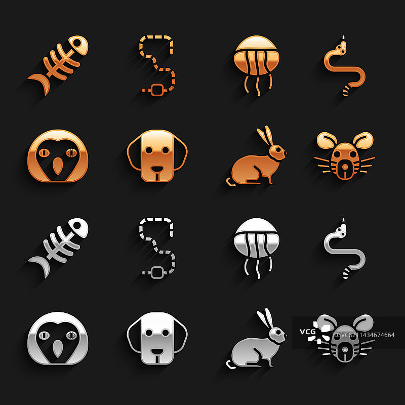 蛇鼠兔猫头鹰鸟类图案套装图片素材