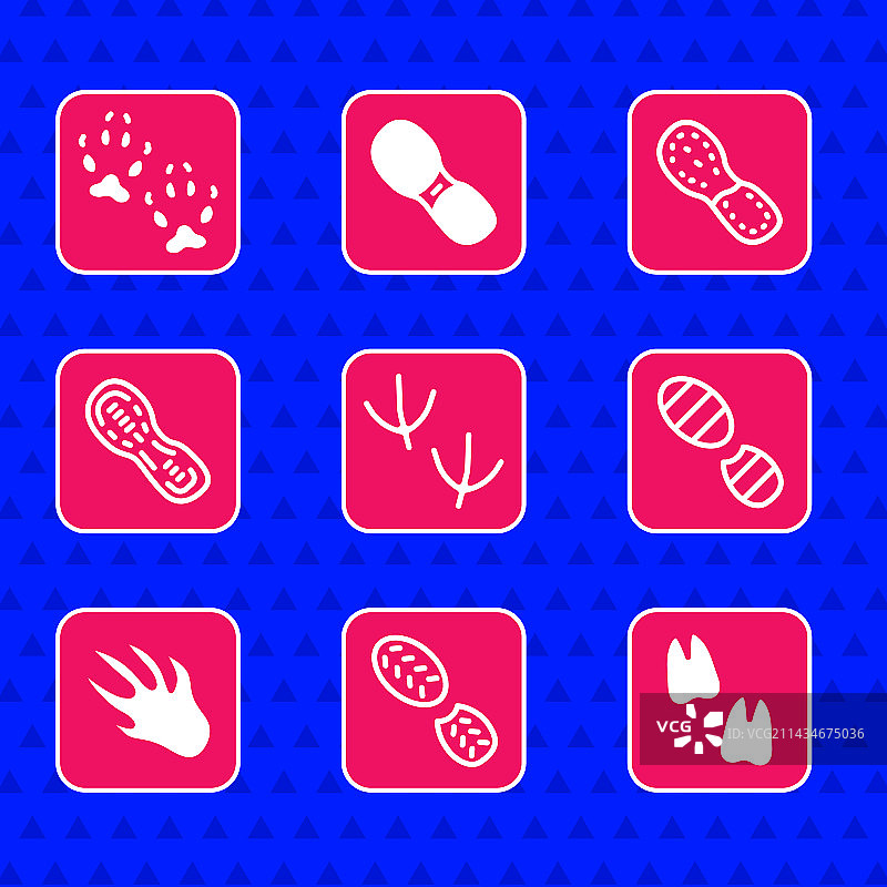 鸽子爪印、人类脚印和鞋子图片素材
