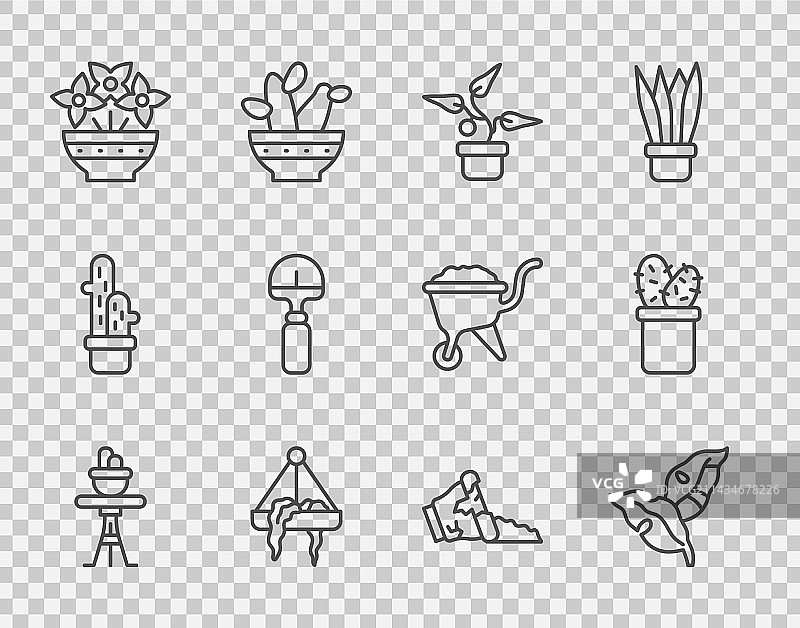 线性盆栽植物桌面热带叶子图片素材