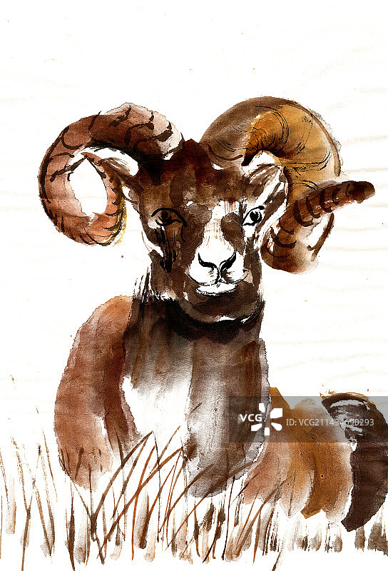 卧着的羚羊图片素材