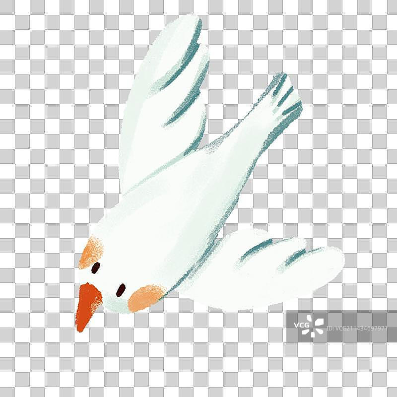 小鸟插画图片素材