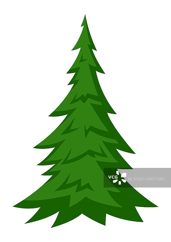 冷杉树森林或公园景观图片素材