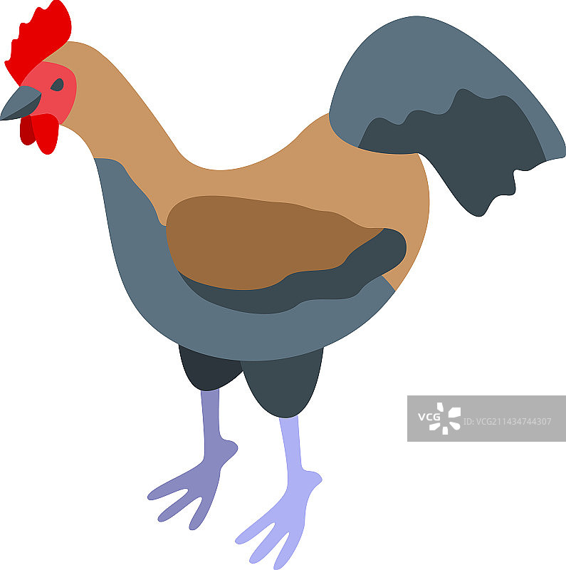 2.5D公鸡图标图片素材