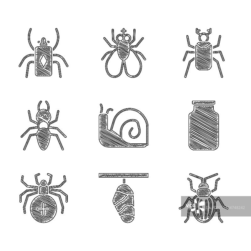 蜗牛蝴蝶茧金龟子甲虫玻璃图片素材