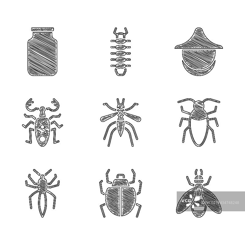 蚊子、螨虫、蜜蜂、蟑螂、蜘蛛、甲虫套装图片素材