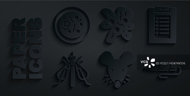 实验鼠临床记录昆虫图片素材