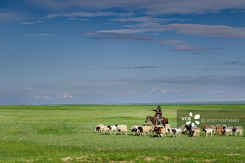 草原牧羊人图片素材