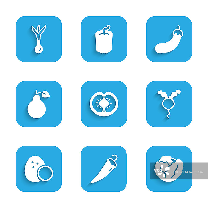 番茄辣椒卷心菜萝卜套装图片素材