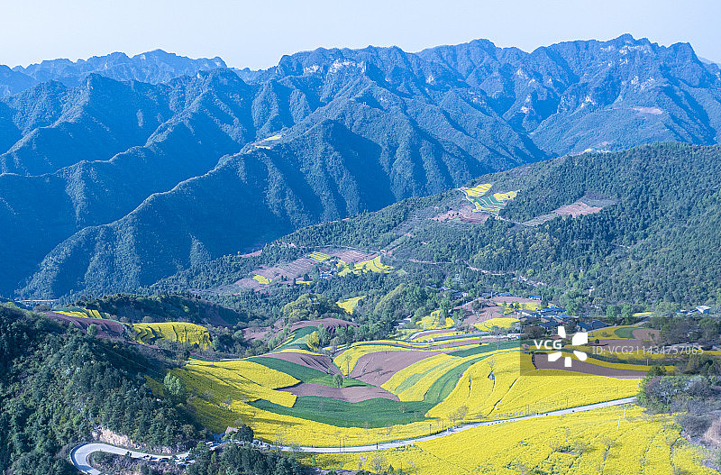 航拍徽县腰庄村油菜花图片素材